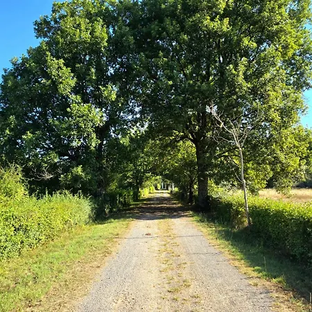 Chateau De Boismartin - Domaine Dans La Nature Virsac