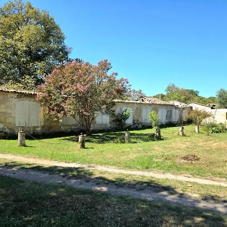 Chateau De Boismartin - Domaine Dans La Nature Virsac