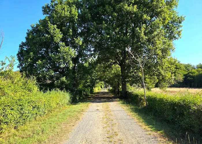 Chateau De Boismartin - Domaine Dans La Nature Virsac