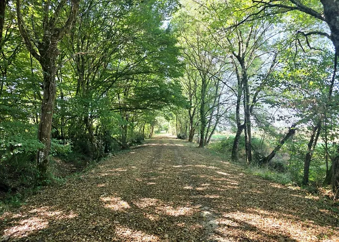 Chateau De Boismartin - Domaine Dans La Nature Virsac